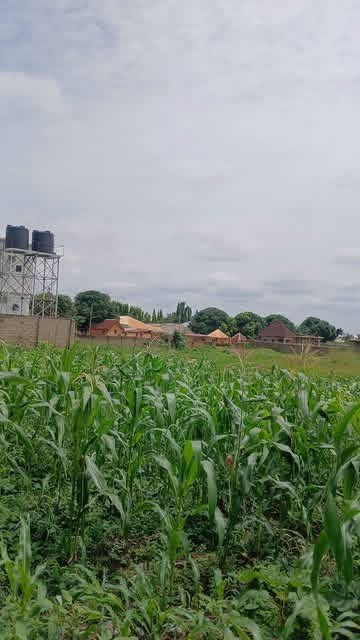 Additional view of Standard Plot of Land in Nyiman