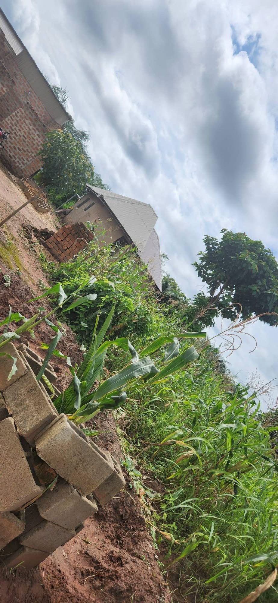 Additional view of Developed Plot with One Room Self-Contained
