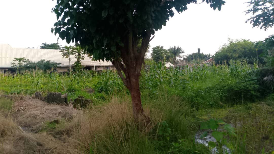 Additional view of Land Behind New York City Guest House