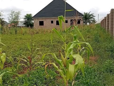Additional view of Uncompleted Two-Bedroom House