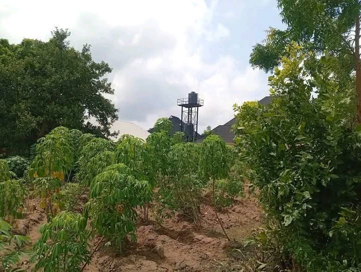 Additional view of Land For Sale At Judges Quarters