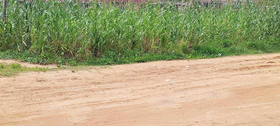 Additional view of Plot of Land with Unfinished Flat