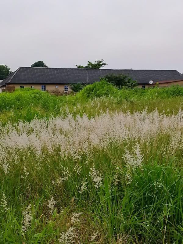 Additional view of Land Plot Behind Barna Water Factory