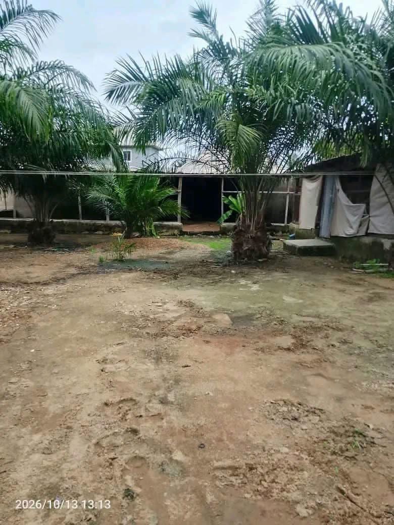 Additional view of 3 Bedroom Flat with BQ