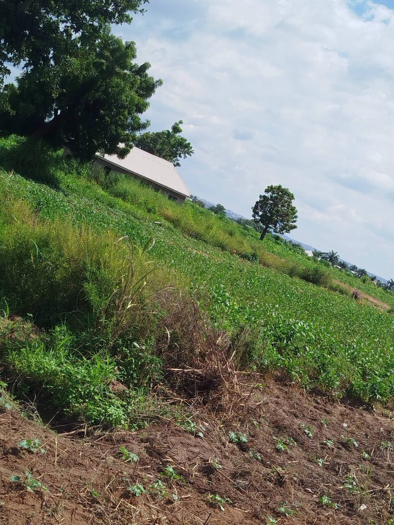 Residential Land Facing Tared Road for sale in North Bank, Makurdi, Benue
