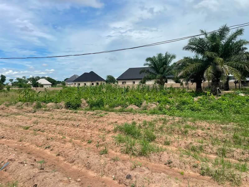 Additional view of Corner Plot of Land for Sale