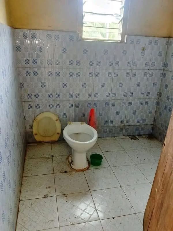 Additional view of Spacious One Bedroom Apartment
