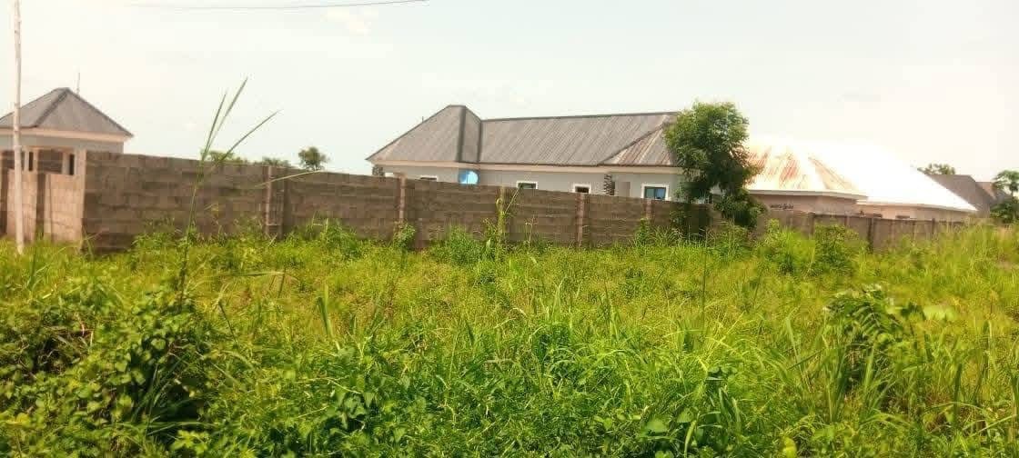 Additional view of Strategic Plot of Land in Adeke