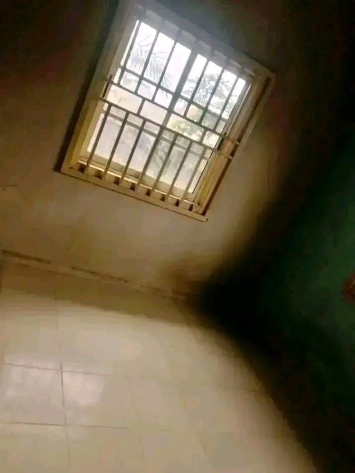 Additional view of One Bedroom Apartment for Rent