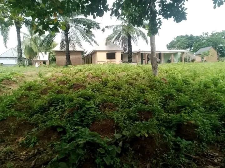 Land for Sale for sale in George Akume Way, Makurdi, Benue