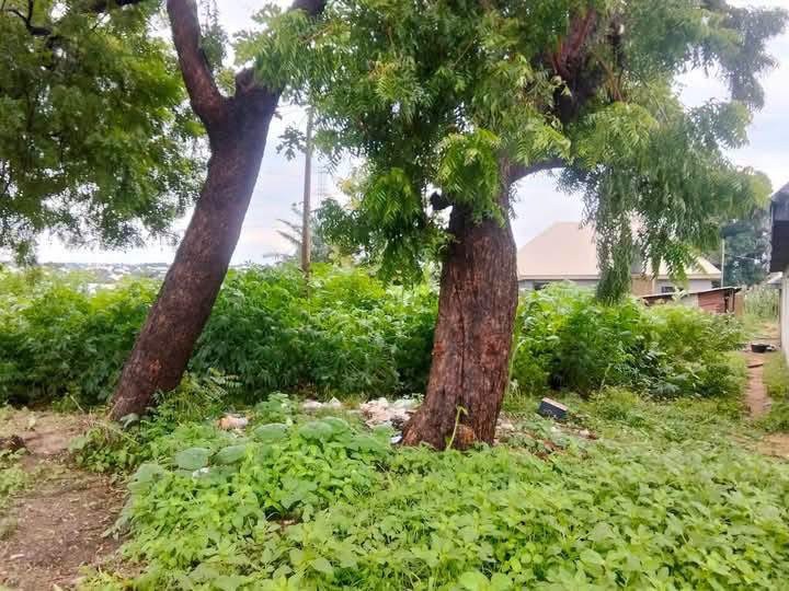 Land for Sale on George Akume Way for sale in Tse Ayu, Makurdi, Benue