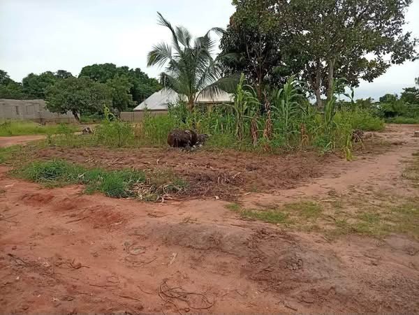 Fenced Land Plot at Tse Kwembe for sale in Tse Kwembe, Yaikyo, Makurdi, Benue