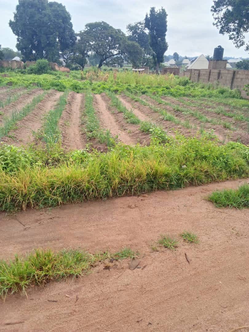 Plot of Land in Gboko for sale in Behind Sora International School, Gboko, Benue
