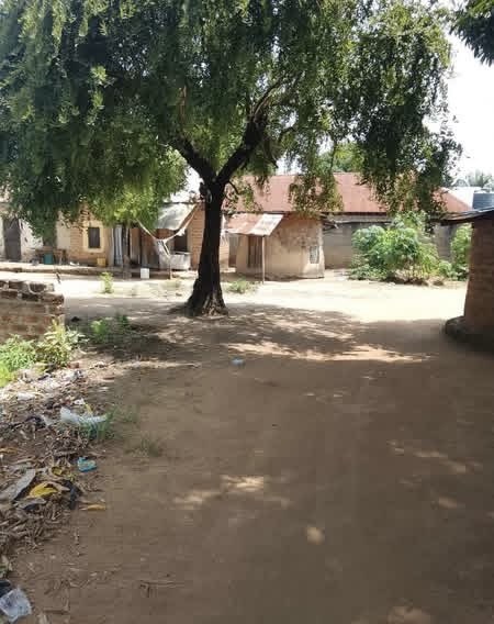 Additional view of 5 Room Commercial Property