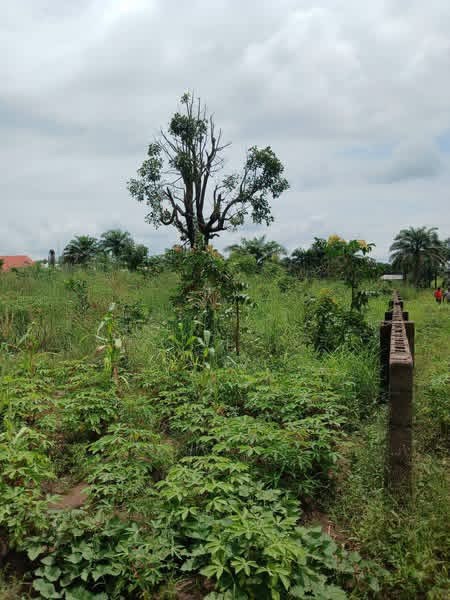Additional view of 2400sqm Fenced Land for Sale
