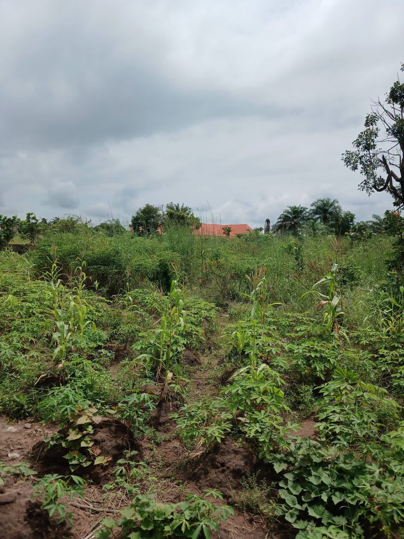 Additional view of 2400sqm Fenced Land for Sale