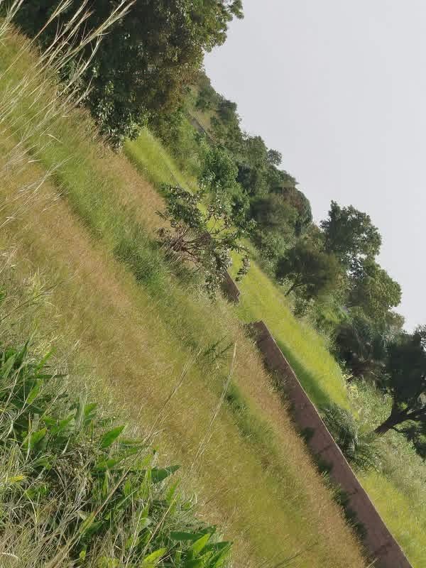 150x100 Plot Facing Tarred Road for sale in Tse-poor, Makurdi, Benue