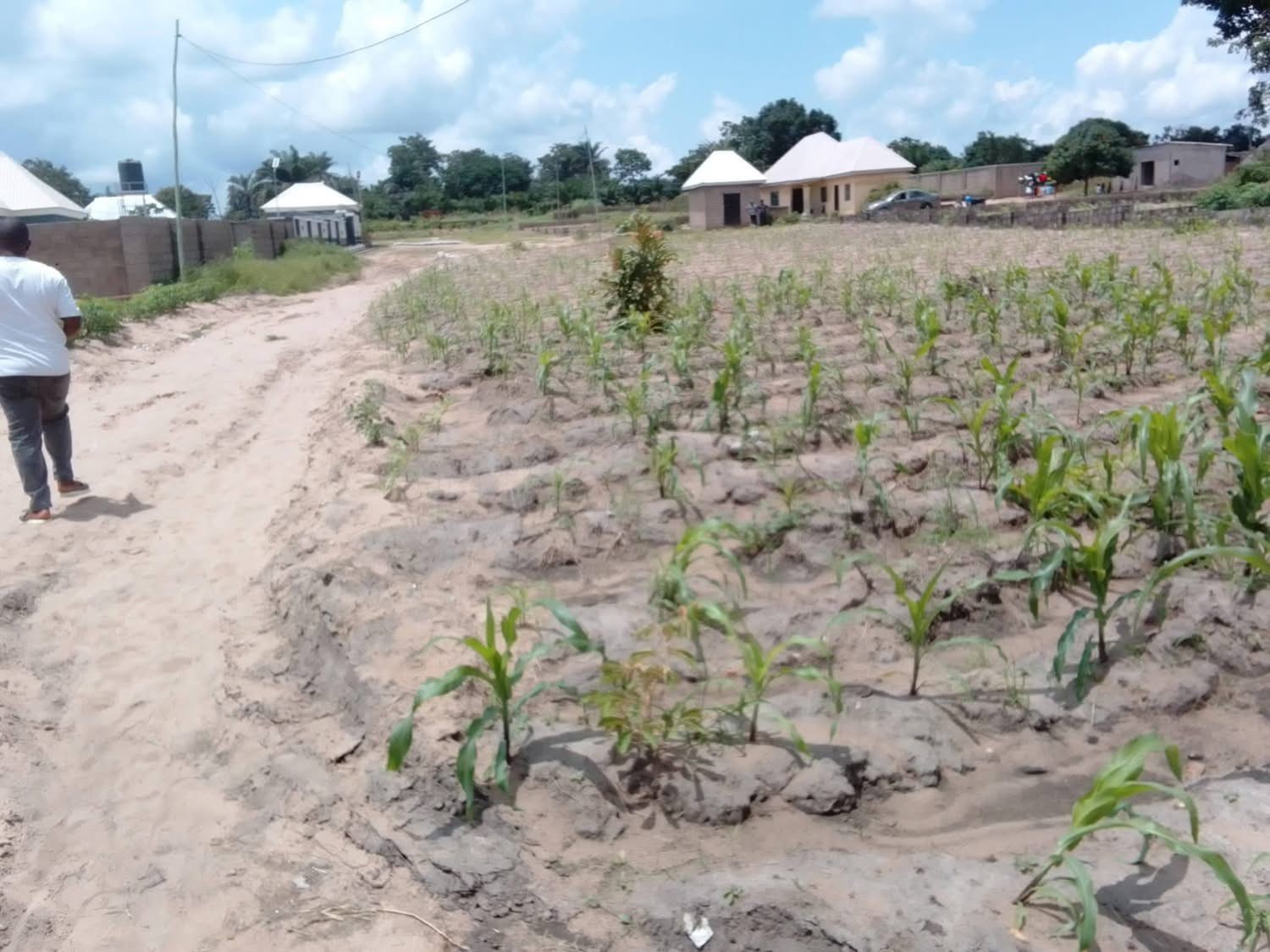 Plot of Land for Sale for sale in Along Uma Street near NKST church Ikyuior Off Yaikyor Tse poor Rd, Makurdi, Benue
