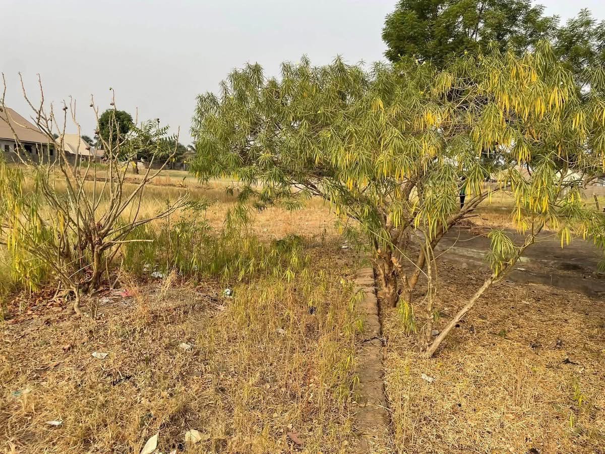 Additional view of Prime Double Plot of Land