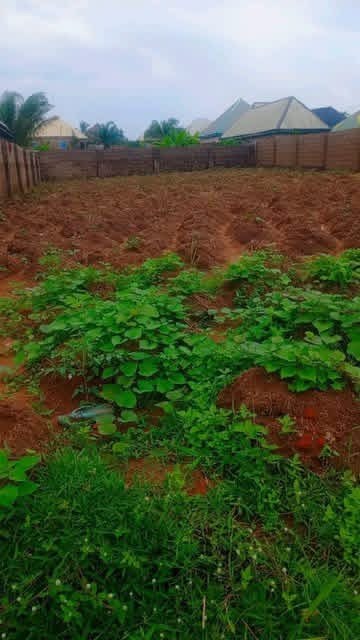 Additional view of Land for Sale at Jomatek Water Factory
