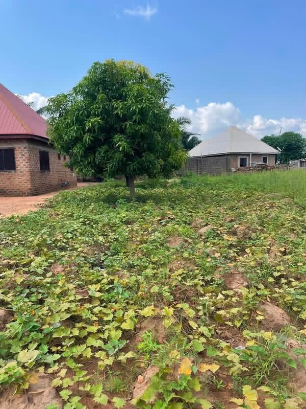 Well Positioned Plot of Land for sale in Nyon, Makurdi, Benue