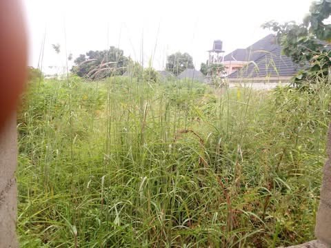 Additional view of Fenced Land in Nyon Layout