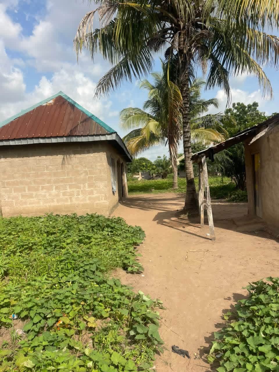 Additional view of 1 Bedroom Apartment with Single Room