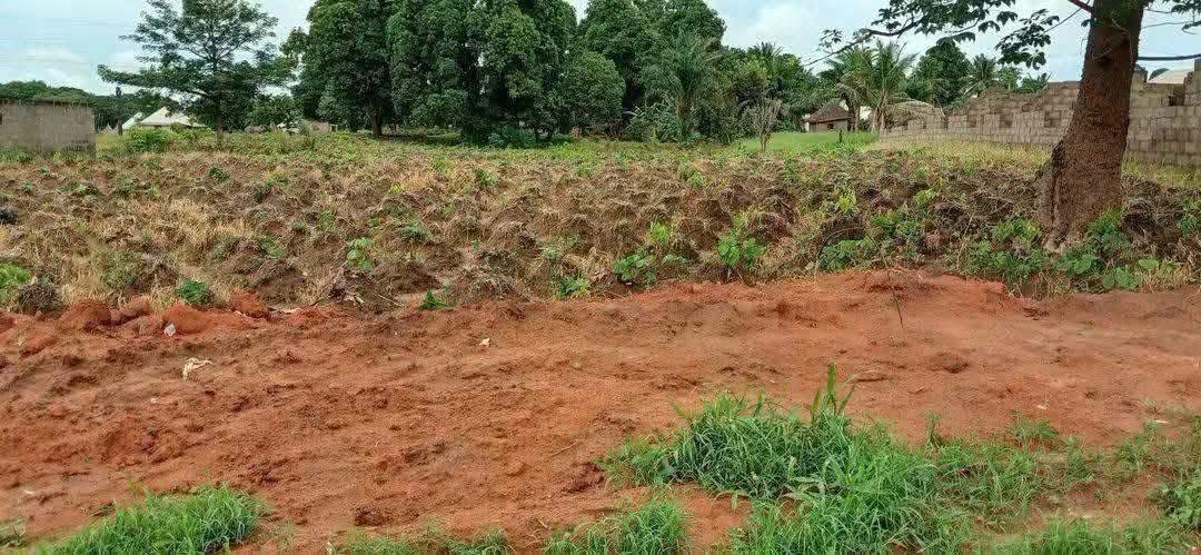 Additional view of Prime Land for Sale in Apir