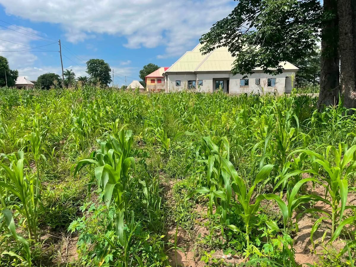 Additional view of Plot of Land for Sale in Tse Poor