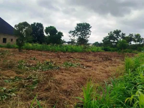 Additional view of 4 Plots of Land for Sale