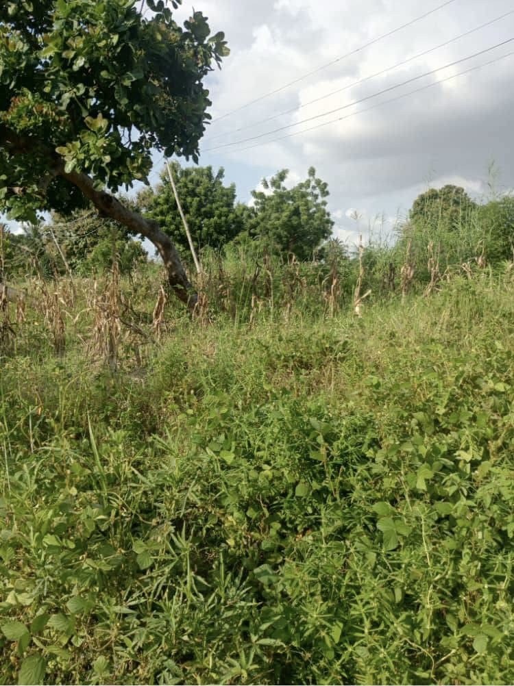 Spacious 100x100 Plot of Land for sale in Commissioners Quarters, Makurdi, Benue