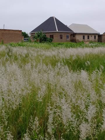 Additional view of Land Plot Behind Barna Water Factory