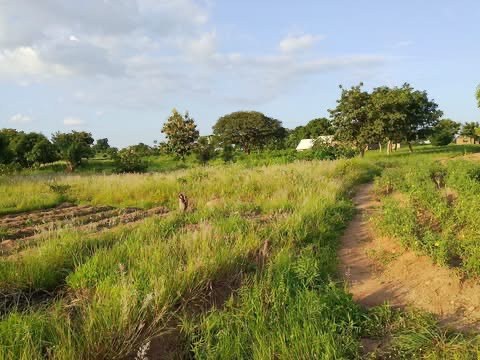 Additional view of Plot of Land for Sale