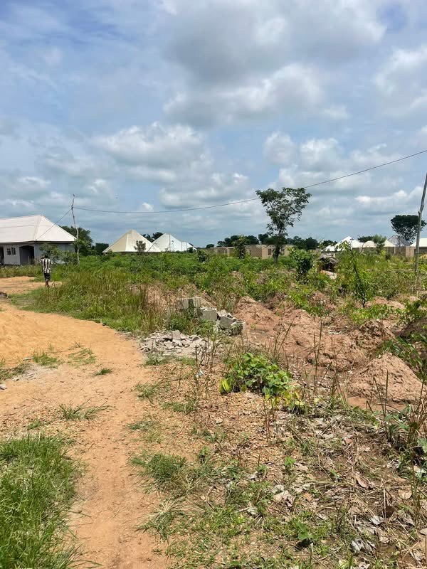 Additional view of 100 by 50 Plot of Land