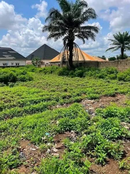 Additional view of Spacious Plot for Sale Behind Prison Yaikyo