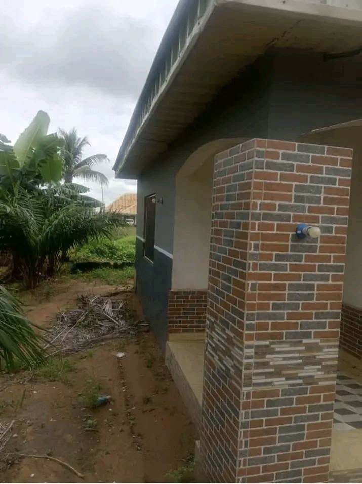 Additional view of Cozy One Bedroom Flat in Makurdi
