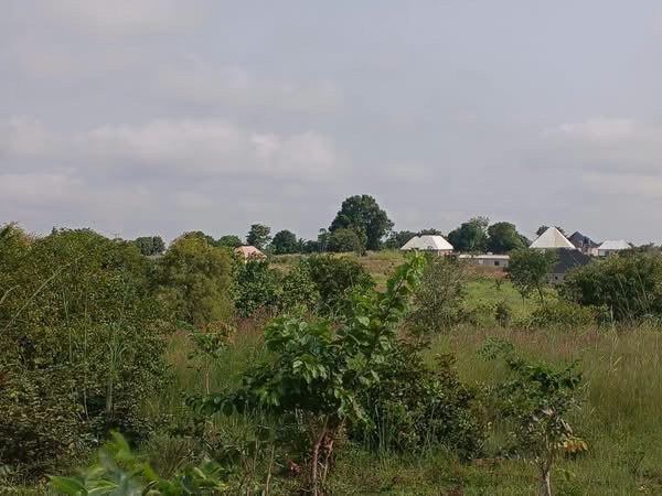 Additional view of Plot of Land Opposite Eunice Foundation