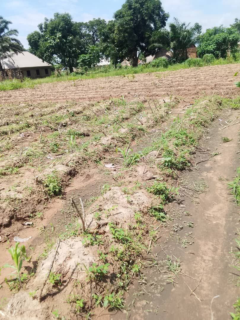 Additional view of Plot of Land for Sale in Tyo-mu