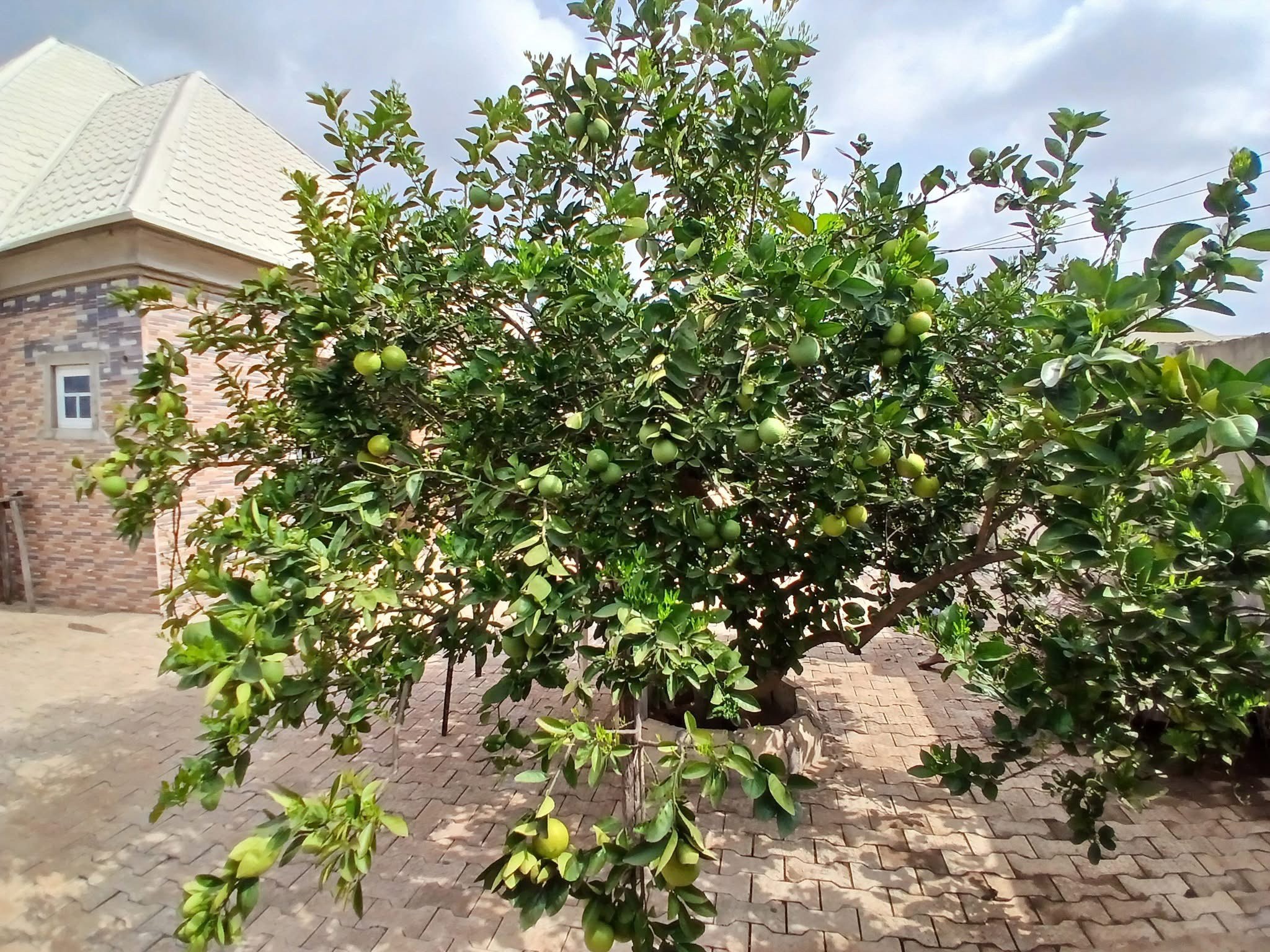 Additional view of Standard 3 Bedroom House for Sale