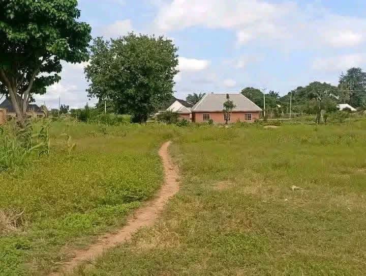 50 by 50 Plot for Sale for sale in Before Formal Ter-Makurdi Junction, Makurdi, Benue