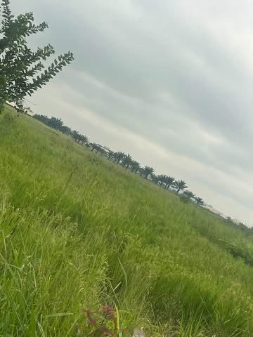 Additional view of Plots of Upland for Sale