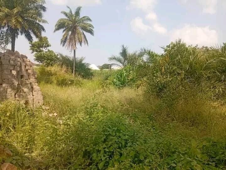 Additional view of 50/50 Plot with Foundation for Sale