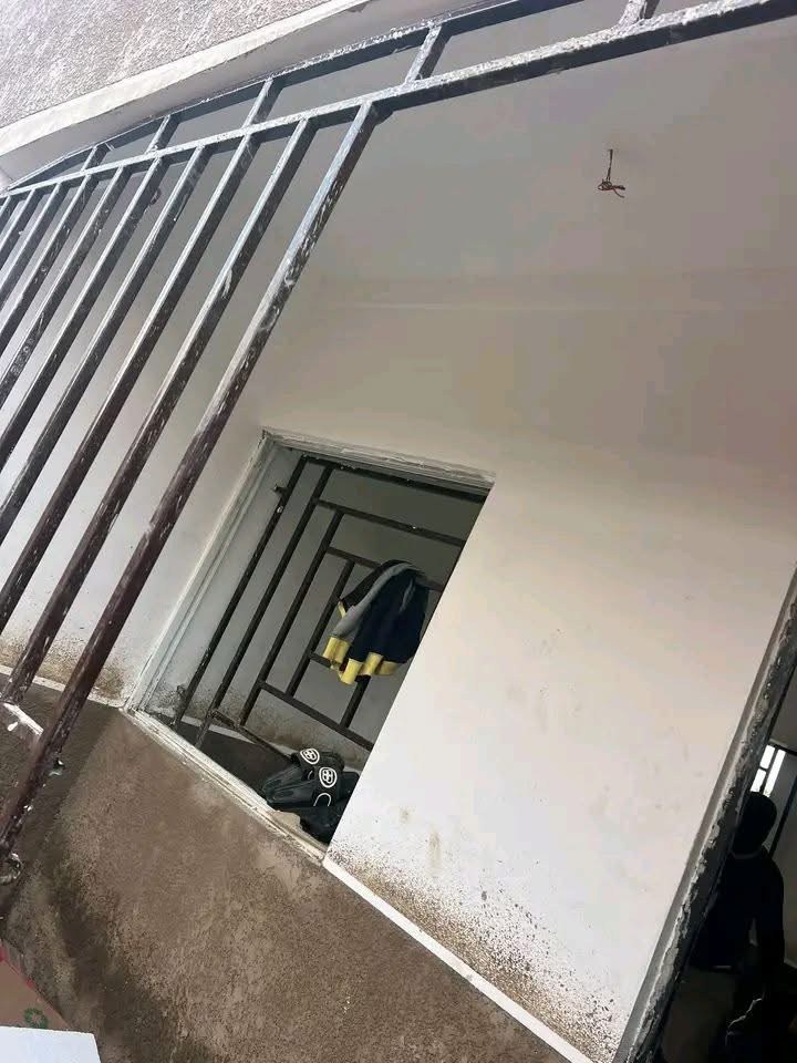 Additional view of Brand New One Room Self Contain