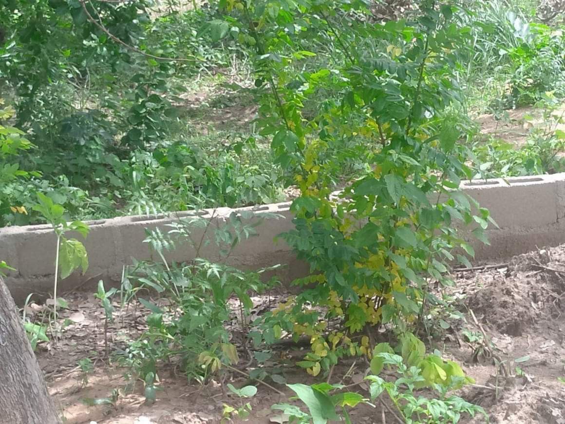 Additional view of Fenced Land for Sale in Makurdi