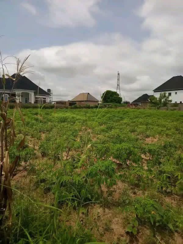 Additional view of Plot of Land in Ajaba Layout