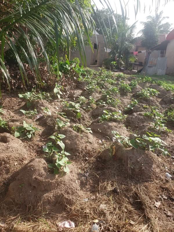 Additional view of Prime Land for Sale in Yaikyo