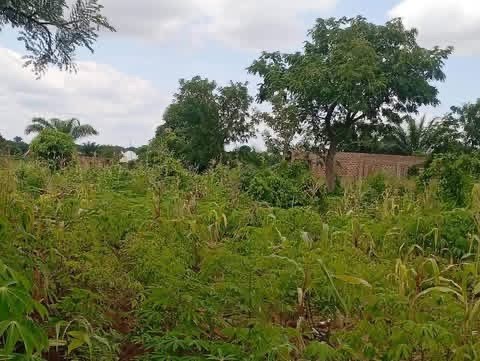 Additional view of Prime Land for Sale in Tse Poor