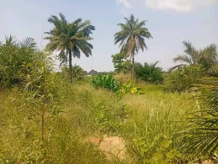 Additional view of 50/50 Plot with Foundation for Sale