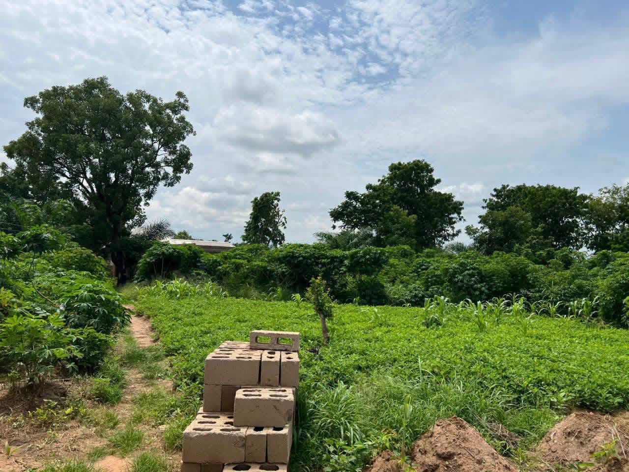 3 Plots Land for Sale Yaikyo Makurdi for sale in Yaikyo, Makurdi, Benue