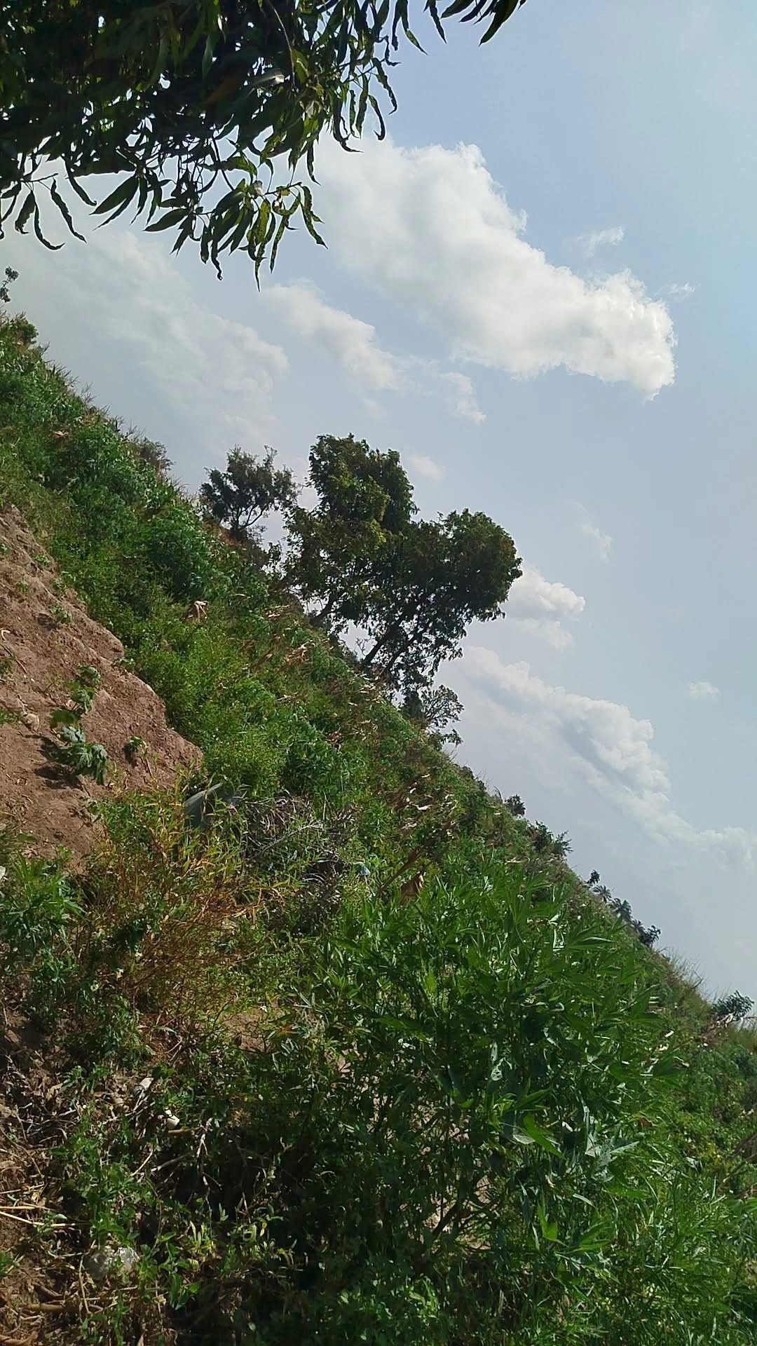 Additional view of 200x100 Plot of Land in Yaikyo